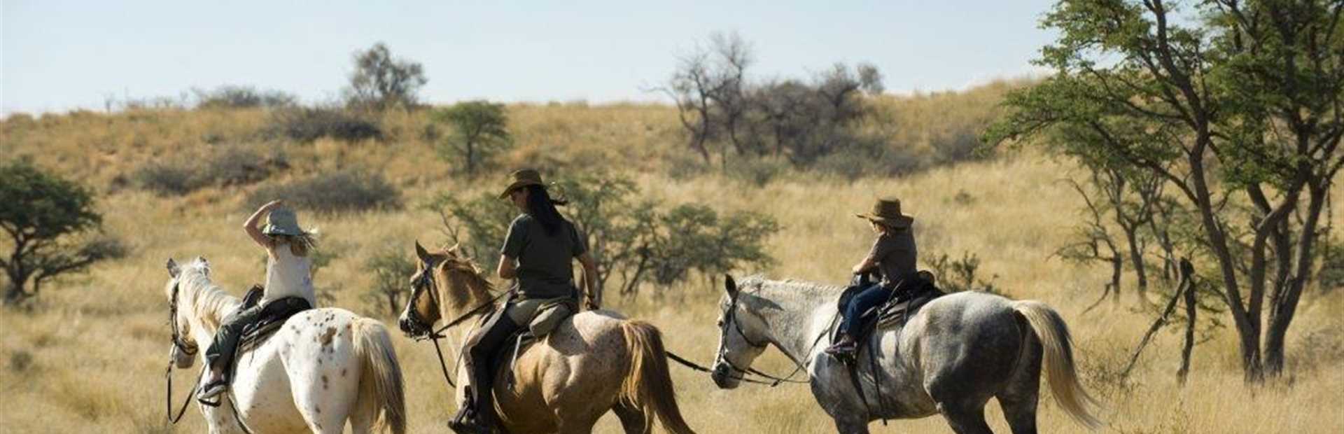 South Africa - Family Wildlife Experience